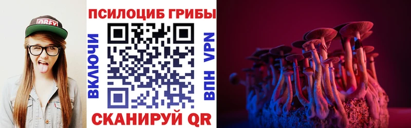 Псилоцибиновые грибы Cubensis  Апатиты 