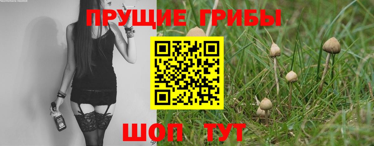 Апатиты  Псилоцибиновые грибы прущие грибы  Вход с VPN 