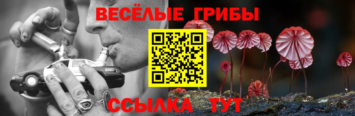 Галлюциногенные грибы ЛСД Апатиты